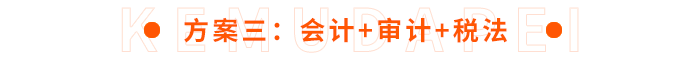 方案三：會(huì)計(jì)+審計(jì)+稅法
