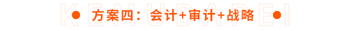 方案四：會(huì)計(jì)+審計(jì)+戰(zhàn)略