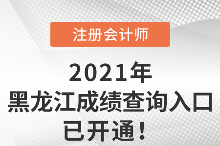 黑龍江省齊齊哈爾2021年注冊(cè)會(huì)計(jì)師成績(jī)查詢(xún)系統(tǒng)已開(kāi)放