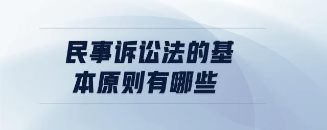 民事訴訟法的基本原則有哪些