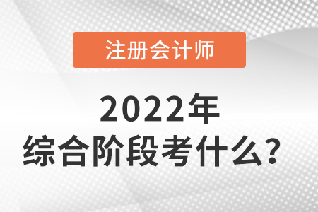 2022年注冊會計(jì)師綜合階段考試考什么？
