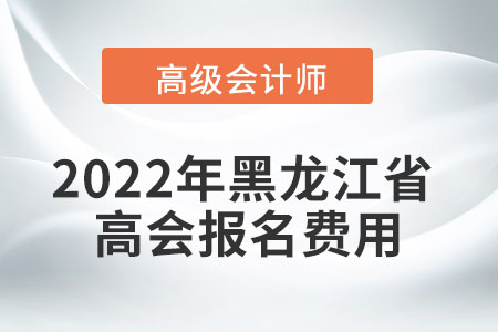 2022年黑龍江省高級會(huì)計(jì)師考試報(bào)名費(fèi)用
