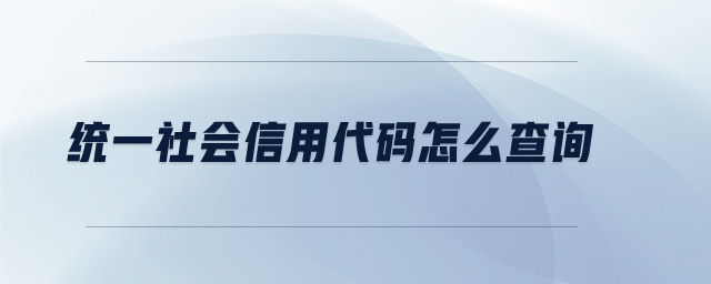 統(tǒng)一社會(huì)信用代碼怎么查詢 統(tǒng)一社會(huì)信用代碼怎么查詢