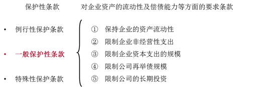 保護(hù)性條款 保護(hù)性條款