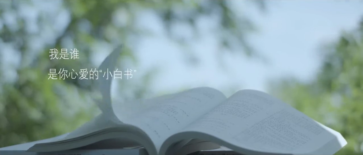 初級(jí)會(huì)計(jì)輕一教材