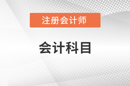注冊(cè)會(huì)計(jì)師會(huì)計(jì)要考分錄嗎？
