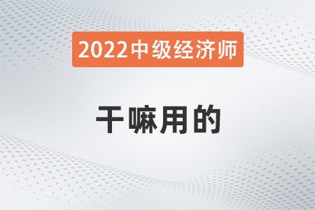 中級(jí)經(jīng)濟(jì)師干嘛用的