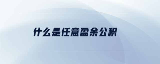 什么是任意盈余公積
