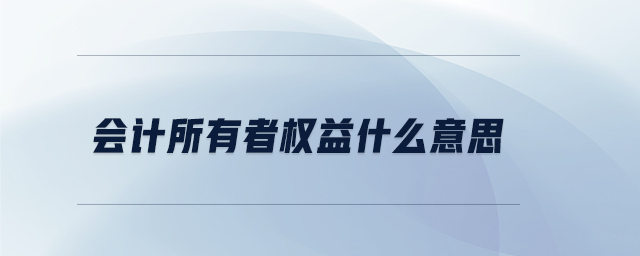 會計所有者權益什么意思 會計所有者權益什么意思