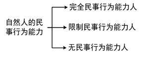 自然人民事行為能力的劃分