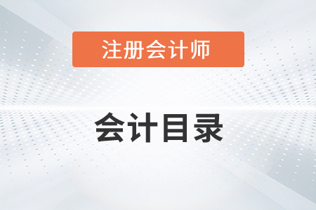 注冊(cè)會(huì)計(jì)師會(huì)計(jì)目錄2022年有變化嗎？