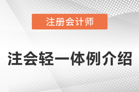 注冊會計師東奧輕一體例介紹
