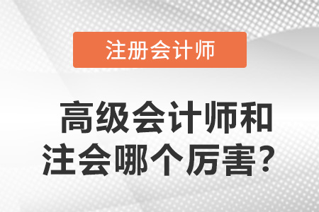 高級會計師和注冊會計師哪個厲害？