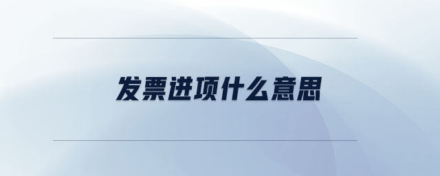 發(fā)票進項什么意思
