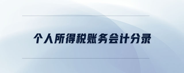 個人所得稅賬務(wù)會計分錄 個人所得稅賬務(wù)會計分錄