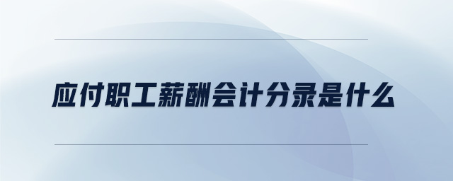應付職工薪酬會計分錄是什么 應付職工薪酬會計分錄是什么