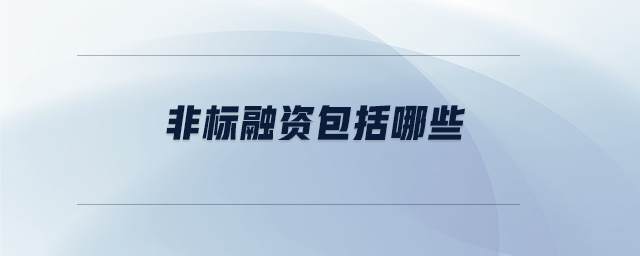 非標(biāo)融資包括哪些
