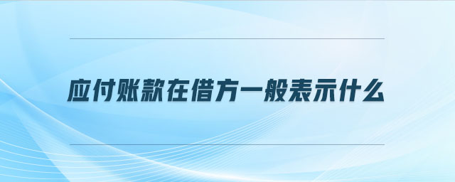 應(yīng)付賬款在借方一般表示什么