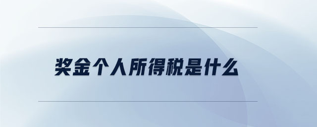獎(jiǎng)金個(gè)人所得稅是什么 獎(jiǎng)金個(gè)人所得稅是什么