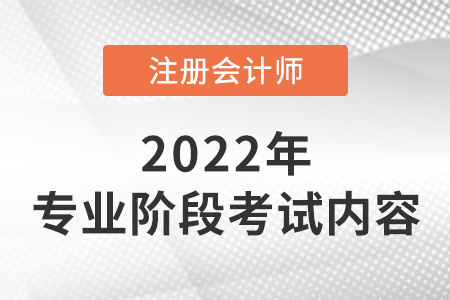 2022年注冊會計師專業(yè)階段考什么？