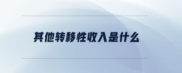 其他轉(zhuǎn)移性收入是什么 其他轉(zhuǎn)移性收入是什么