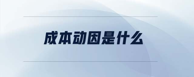 成本動(dòng)因是什么