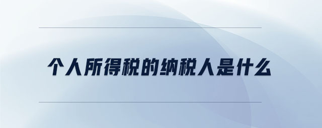 個(gè)人所得稅的納稅人是什么 個(gè)人所得稅的納稅人是什么