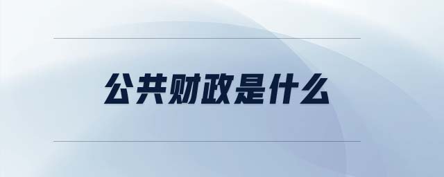 公共財(cái)政是什么