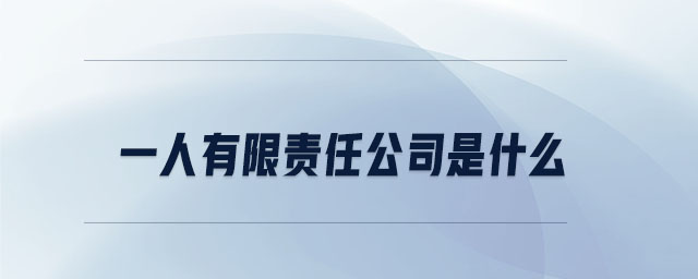 一人有限責任公司是什么 一人有限責任公司是什么