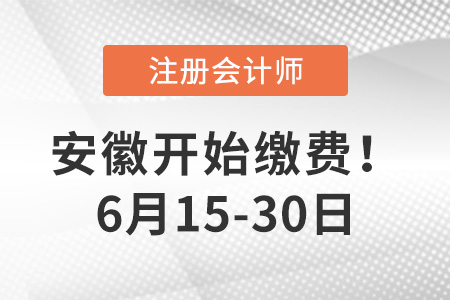 2023年安徽省馬鞍山地區(qū)注會(huì)報(bào)名費(fèi)用是多少？點(diǎn)擊完成交費(fèi)！
