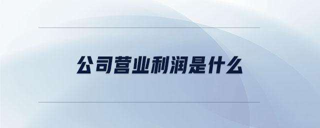 公司營業(yè)利潤是什么 公司營業(yè)利潤是什么