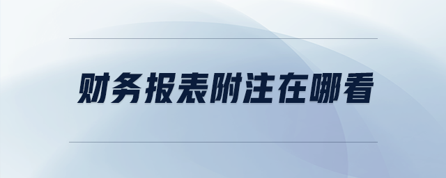 財務(wù)報表附注在哪看