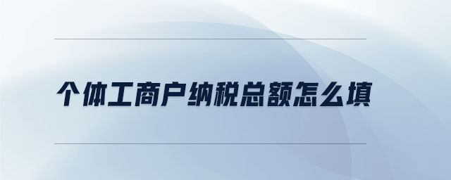 個體工商戶納稅總額怎么填 個體工商戶納稅總額怎么填