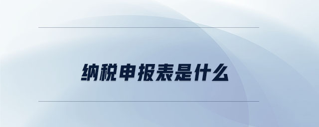 納稅申報(bào)表是什么 納稅申報(bào)表是什么