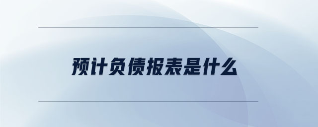 預(yù)計負債報表是什么