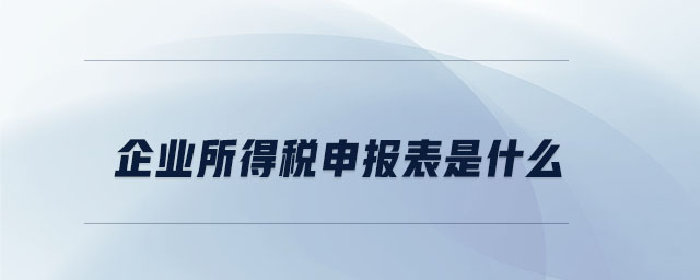 企業(yè)所得稅申報(bào)表是什么 企業(yè)所得稅申報(bào)表是什么