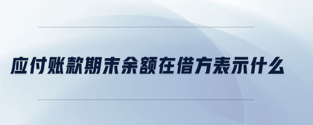 應付賬款期末余額在借方表示什么 應付賬款期末余額在借方表示什么