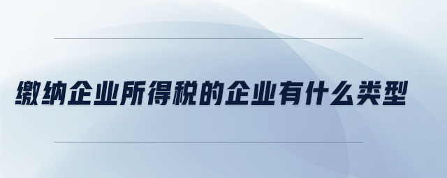 繳納企業(yè)所得稅的企業(yè)有什么類型 繳納企業(yè)所得稅的企業(yè)有什么類型