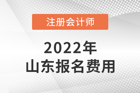 2022年山東省濰坊注冊(cè)會(huì)計(jì)師報(bào)名費(fèi)用是多少？