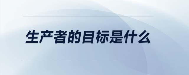 生產(chǎn)者的目標是什么