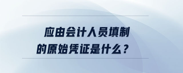 應(yīng)由會(huì)計(jì)人員填制的原始憑證是什么？