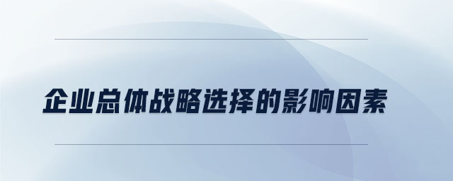 企業(yè)總體戰(zhàn)略選擇的影響因素