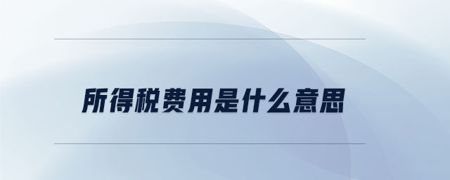 所得稅費用是什么意思 所得稅費用是什么意思