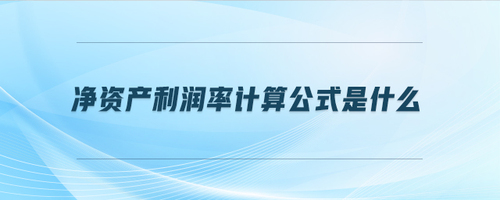 凈資產(chǎn)利潤率計(jì)算公式是什么