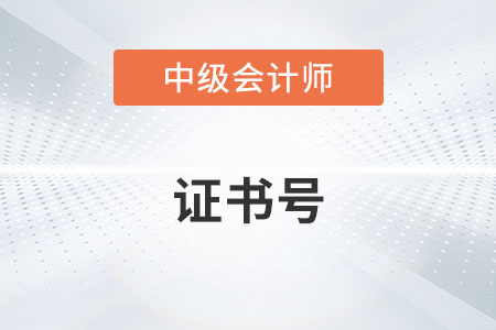 中級會計證書編碼是管理號嗎？