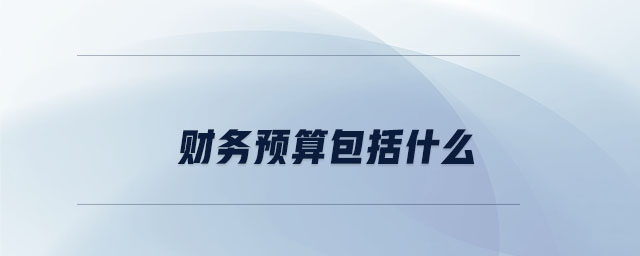 財務(wù)預(yù)算包括什么