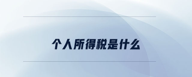 個(gè)人所得稅是什么
