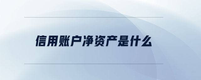 信用賬戶凈資產(chǎn)是什么