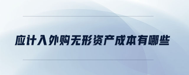應計入外購無形資產成本有哪些 應計入外購無形資產成本有哪些