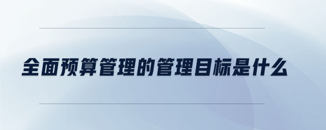 全面預算管理的管理目標是什么